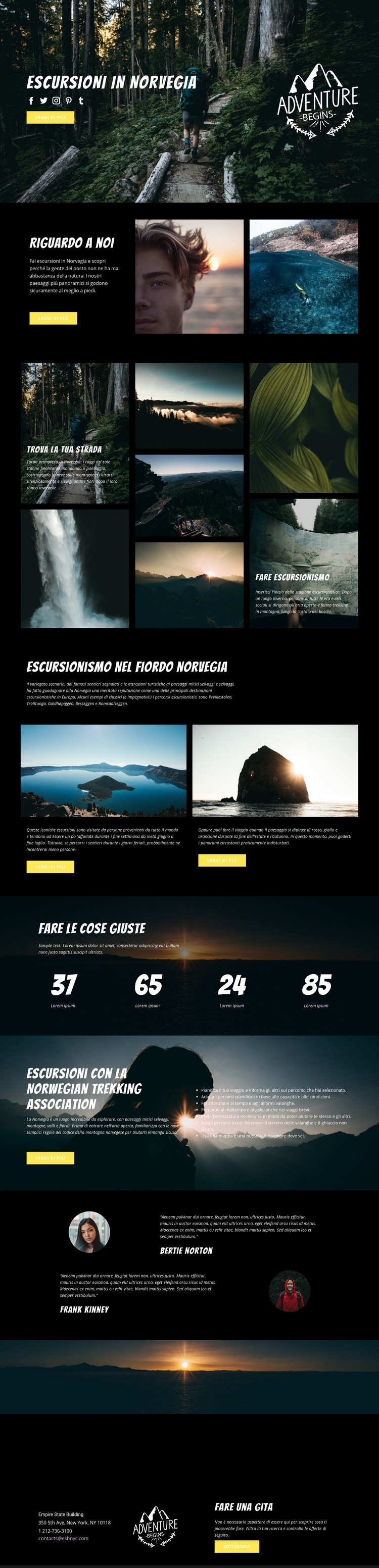 Norvegia Mockup del sito web