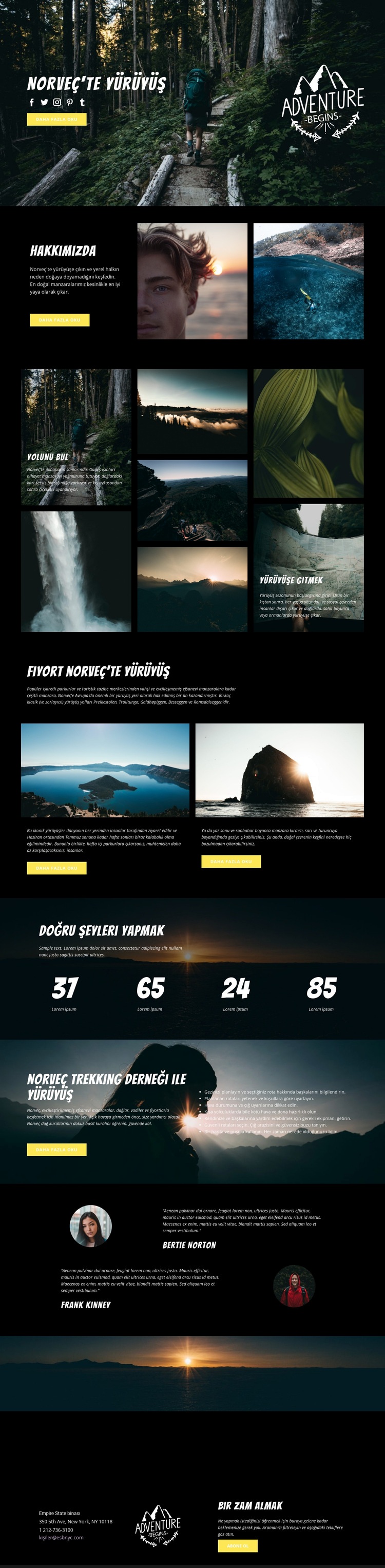 Norveç Web sitesi tasarımı