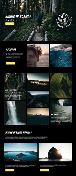 An Exclusive Website Design For Norway