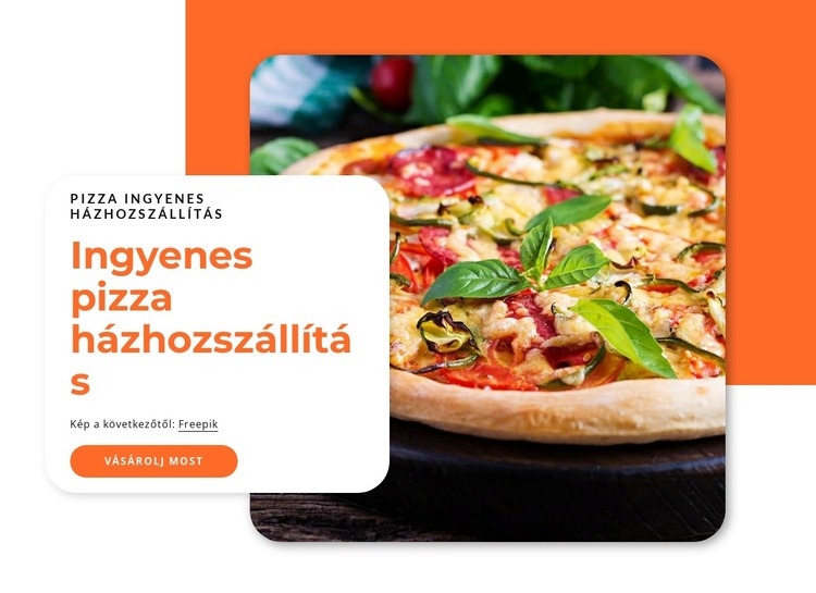 Ingyenes pizza házhozszállítás CSS sablon