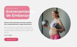 Entrenamientos De Embarazo Velocidad De Google