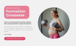 Superbe Conception Web Pour Formations Grossesse