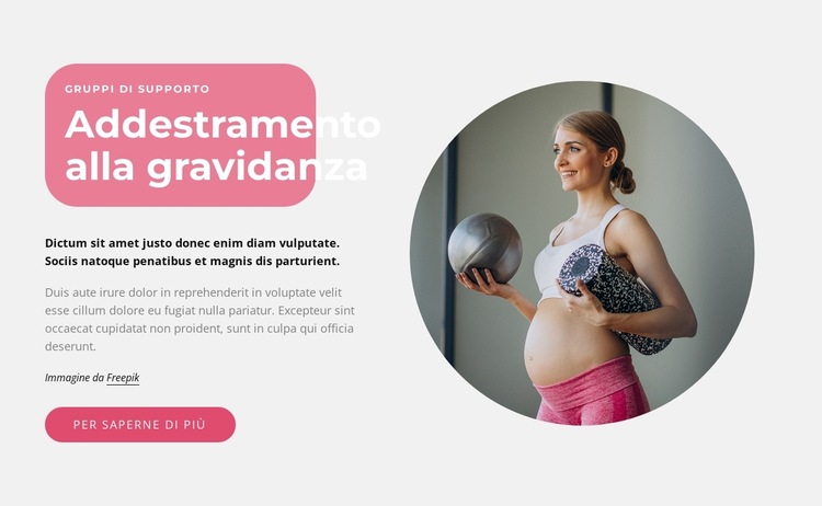 Corsi di gravidanza Modello di sito Web