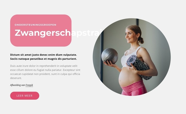 Zwangerschapstrainingen Website Builder-sjablonen