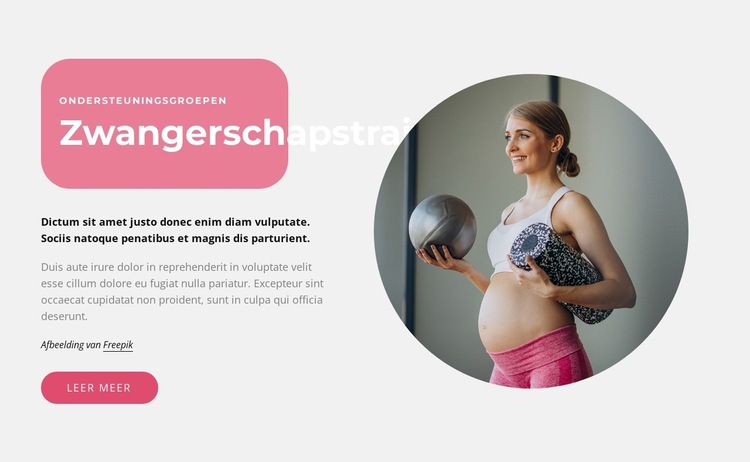 Zwangerschapstrainingen Website sjabloon