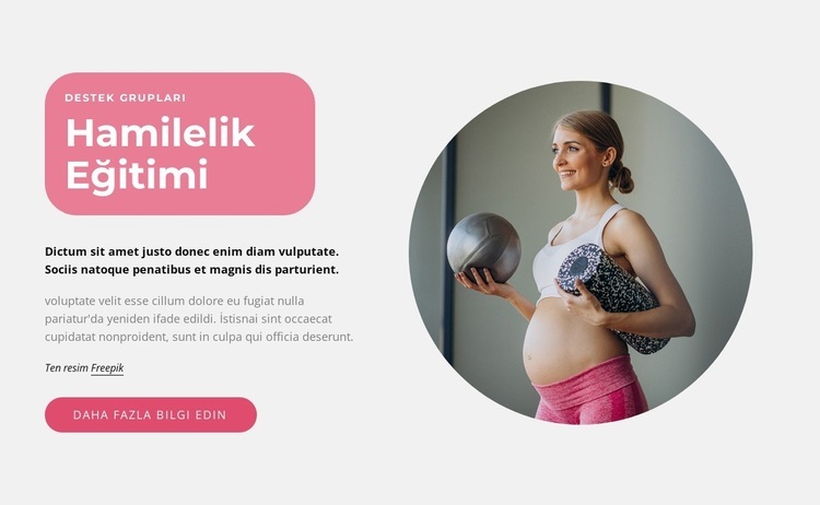 Hamilelik eğitimleri Web sitesi tasarımı