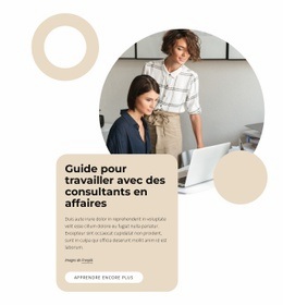 Guide Pour Travailler Avec Des Consultants