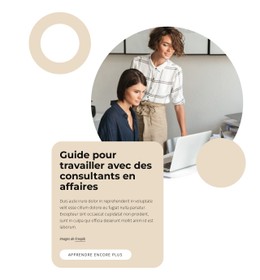 Guide Pour Travailler Avec Des Consultants Modèle De Site