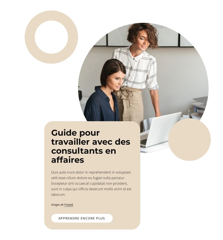 Guide pour travailler avec des consultants Modèle HTML