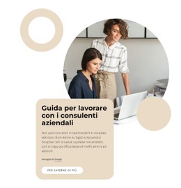 Guida Per Lavorare Con I Consulenti Modello Di Sito