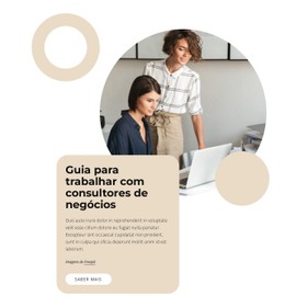 Guia Para Trabalhar Com Consultores Modelo De Site