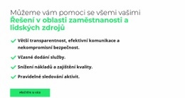 Požadavky Na Specialisty Šablona CSS