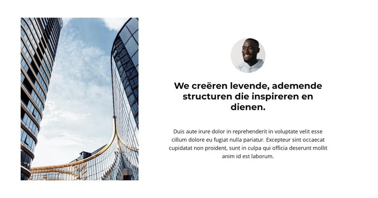 Onze deskundige opmerkingen Website mockup