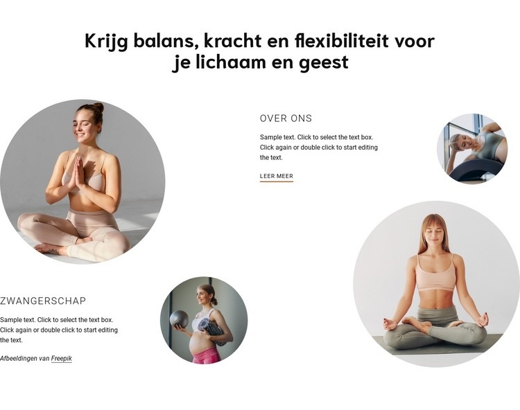 Kracht en flexibiliteit voor het lichaam, Website ontwerp