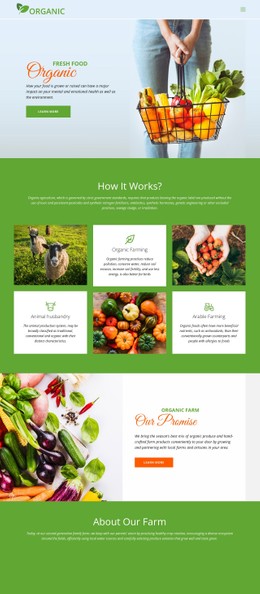 Eat Best Organic Food - Responsive Website