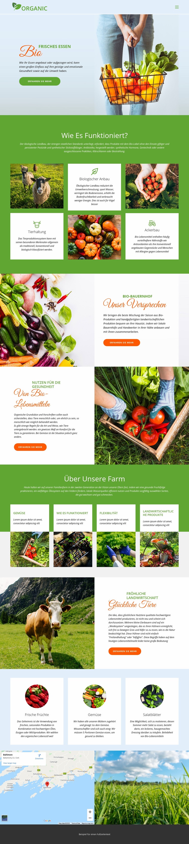 Essen Sie am besten Bio-Lebensmittel Website-Modell