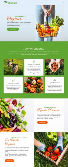 Maqueta De Sitio Web Multipropósito Para Come La Mejor Comida Orgánica