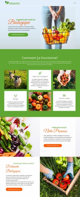 Mangez Les Meilleurs Aliments Biologiques Modèle HTML5 Et CSS3