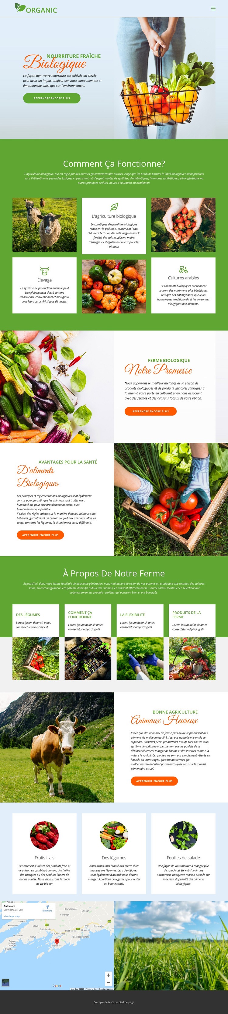 Mangez les meilleurs aliments biologiques Modèle HTML5