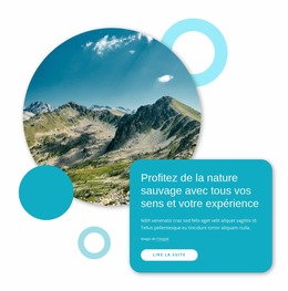 Profitez De La Nature Sauvage - Un Magnifique Modèle Joomla