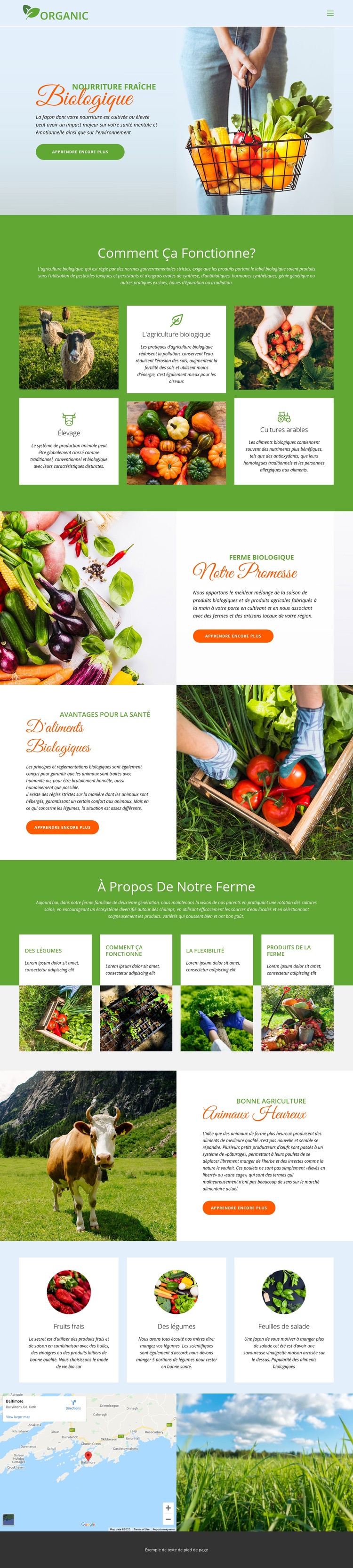 Mangez les meilleurs aliments biologiques Modèle Joomla