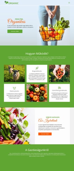 Egyél Legjobb Bioélelmiszereket - Egyszerű Webhelysablon