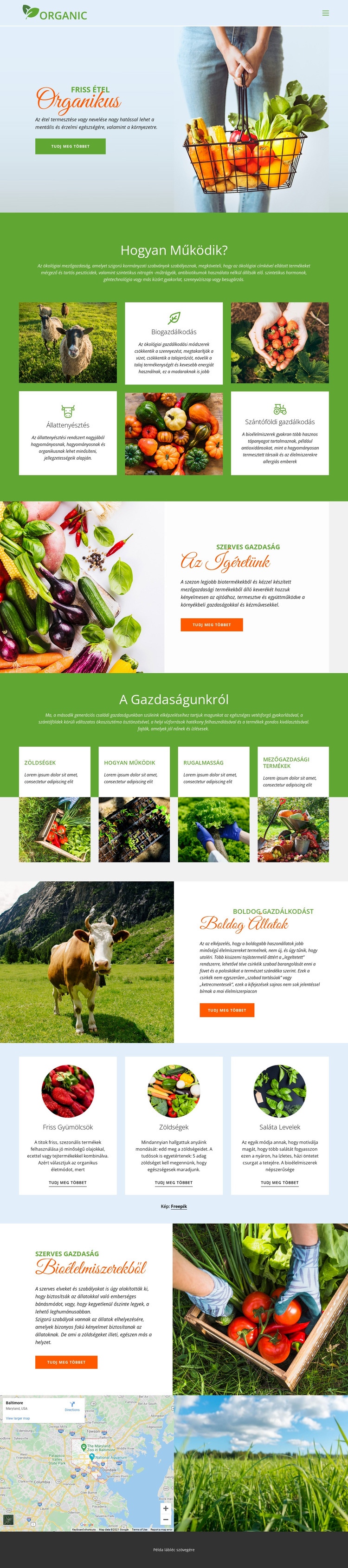 Egyél legjobb bioélelmiszereket Weboldal tervezés