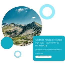 Goditi La Natura Selvaggia Modello Reattivo HTML5