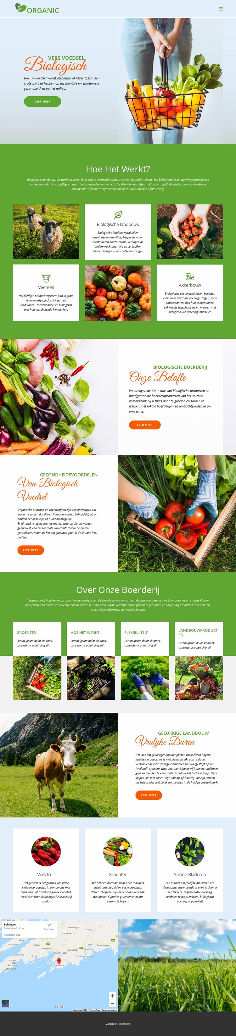 Eet het beste biologisch voedsel Website ontwerp