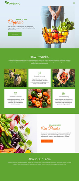 Eat Best Organic Food - Beautiful One Page Template