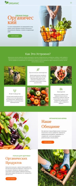 Ешьте Лучшие Органические Продукты