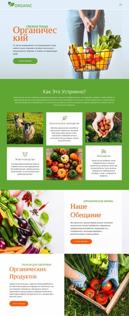 Ешьте Лучшие Органические Продукты – Одностраничный Шаблон HTML5