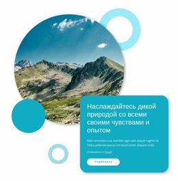 Наслаждайтесь Пустыней — Красивый Шаблон Joomla