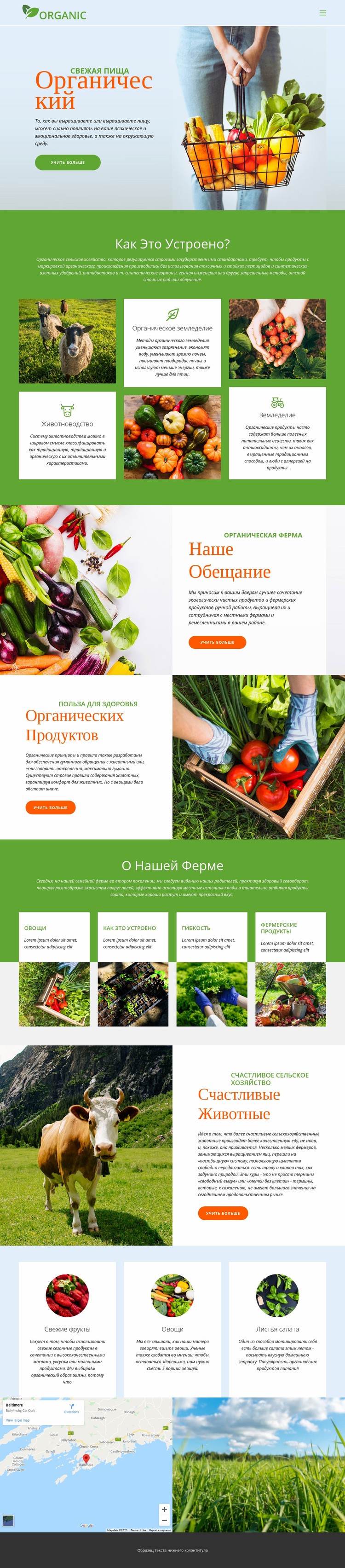 Ешьте лучшие органические продукты Шаблоны конструктора веб-сайтов