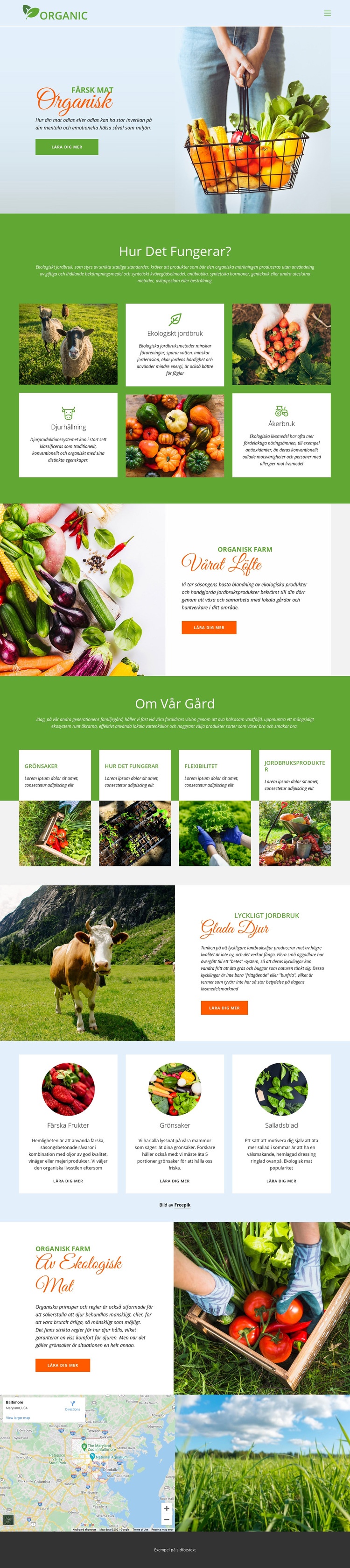 Ät bäst ekologisk mat Webbplats mall