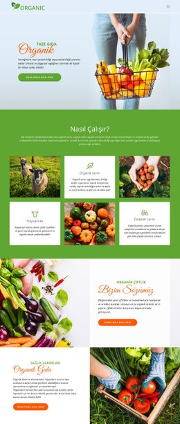 En Iyi Organik Yiyecekleri Yiyin Html Web Sitesi