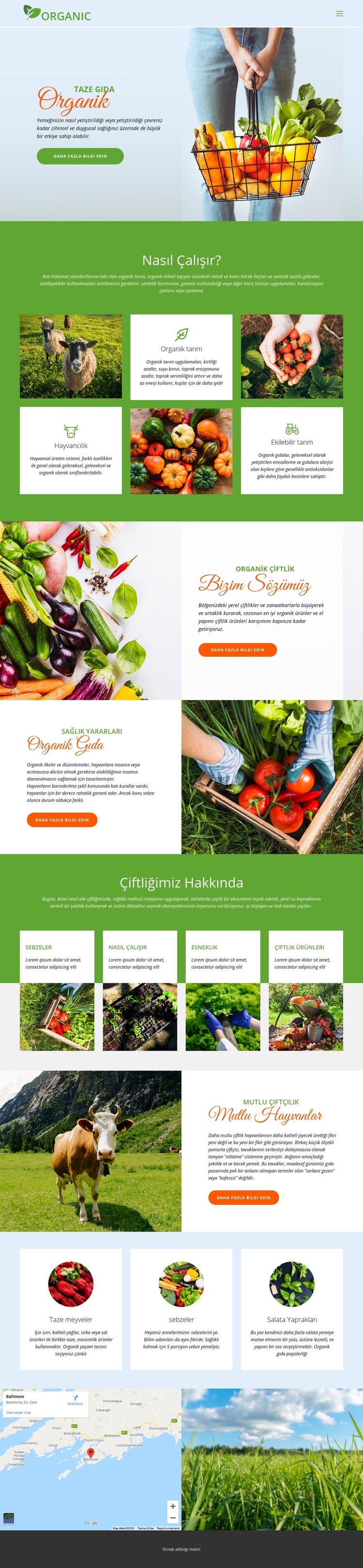 En iyi organik yiyecekleri yiyin Web Sitesi Mockup'ı