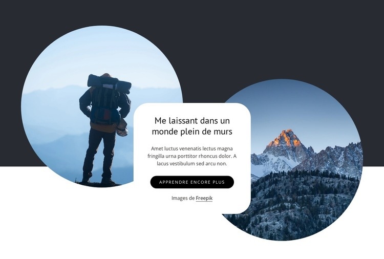 Comment voyager pour gagner sa vie Créateur de site Web HTML