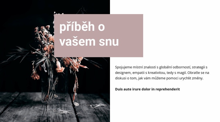 Příběh o vašem snu Šablona CSS