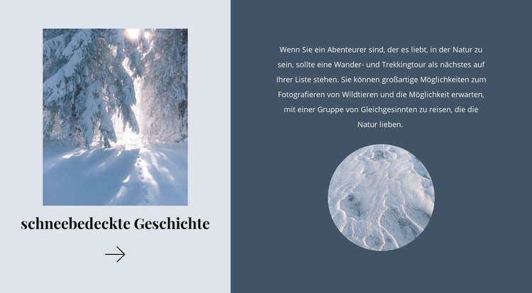 Winter tale Website design