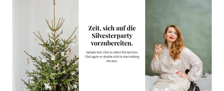 Time for new year party Website-Modell