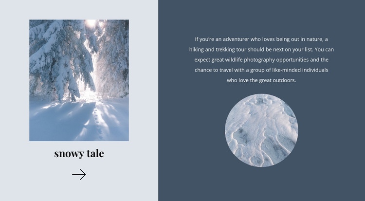 Winter tale Elementor Template Alternative
