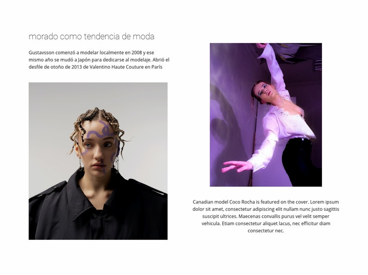Purple color in fashion Creador de sitios web HTML