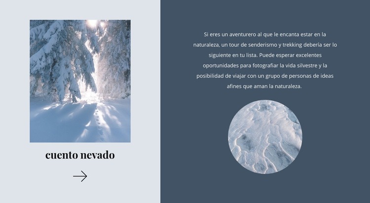 Winter tale Maqueta de sitio web