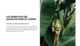 Diseño Web Para The Benefits Of Avocado