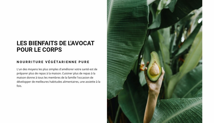 The benefits of avocado Maquette de site Web