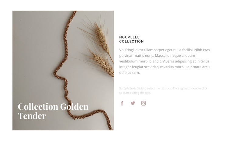 New golden collection Maquette de site Web