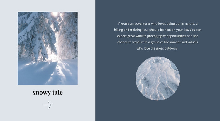 Winter tale Homepage Design