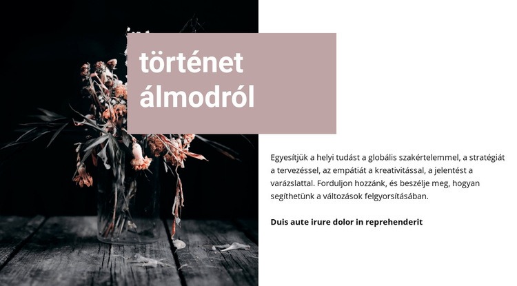 Történet az álmodról Sablon