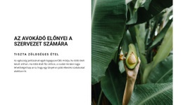Az Avokádó Előnyei - Websablon